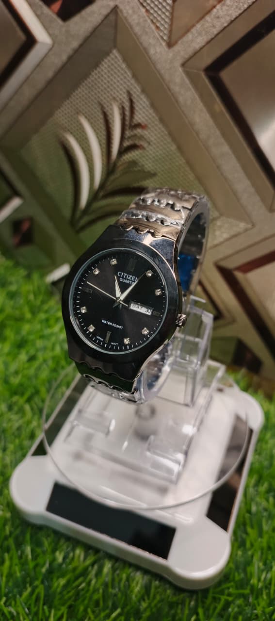 Citizen Quartz Zinc Watch By Polaris