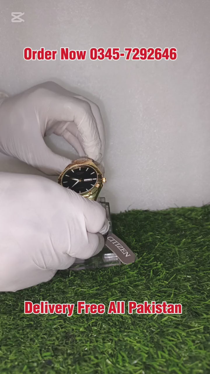 CITIZEN QUARTS BY POLARIS